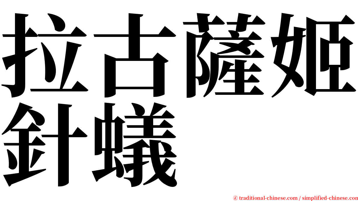 拉古薩姬針蟻 serif font