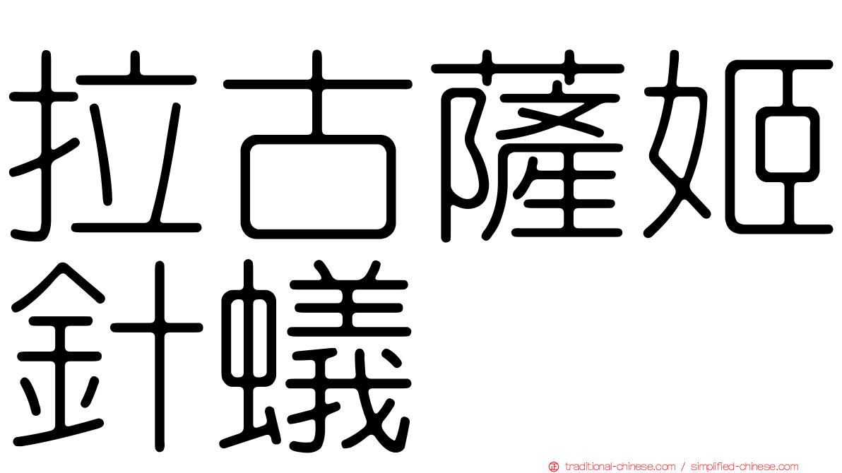 拉古薩姬針蟻