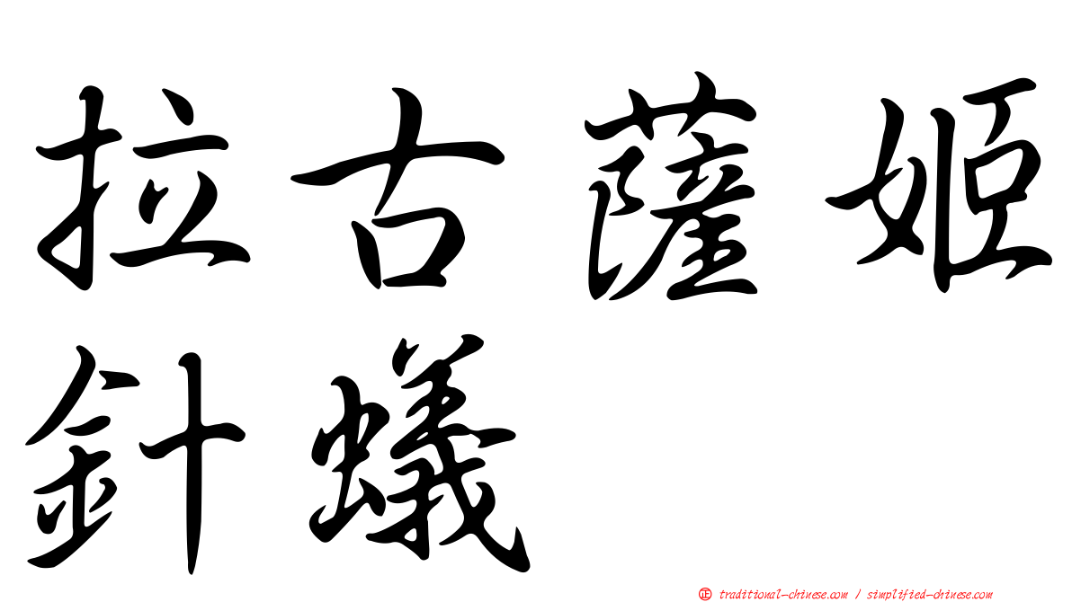拉古薩姬針蟻