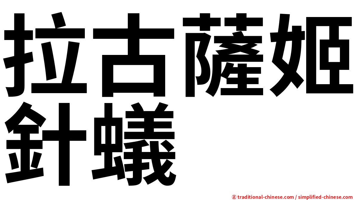 拉古薩姬針蟻