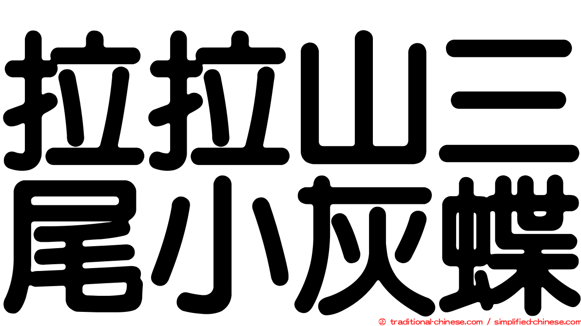 拉拉山三尾小灰蝶