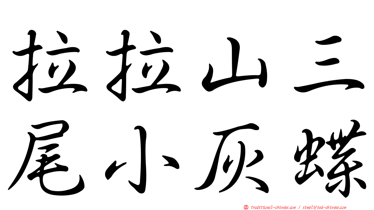 拉拉山三尾小灰蝶