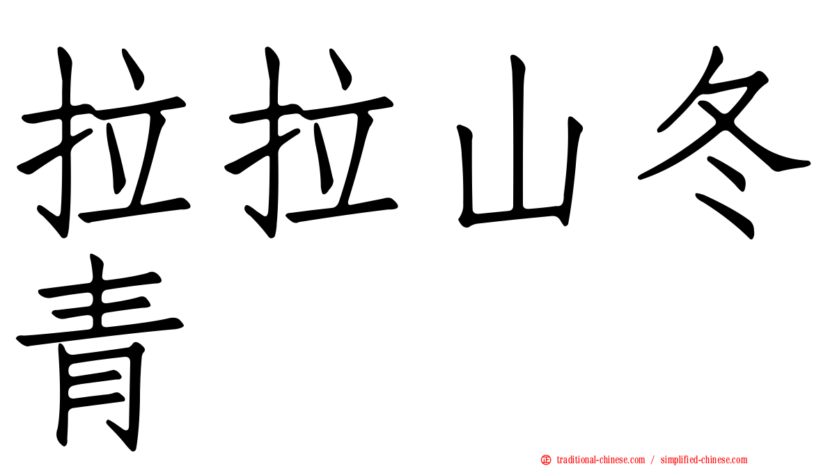 拉拉山冬青