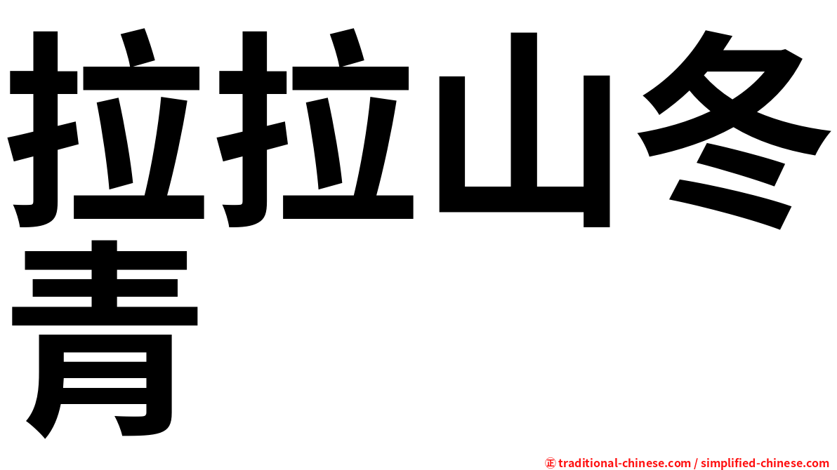 拉拉山冬青