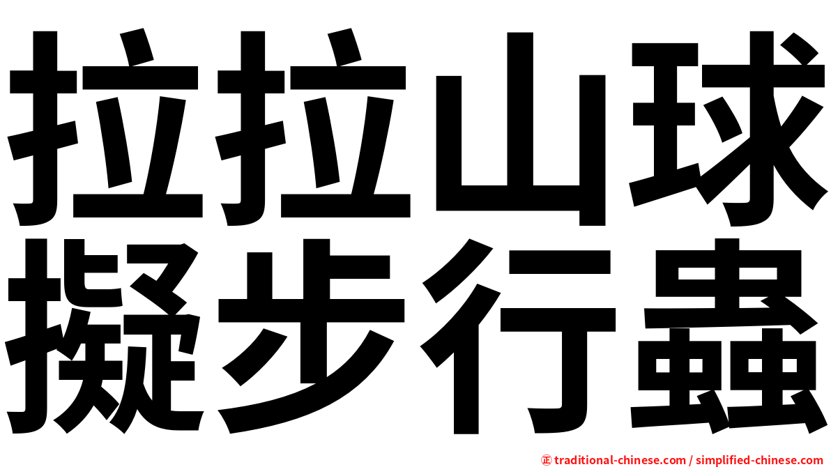 拉拉山球擬步行蟲