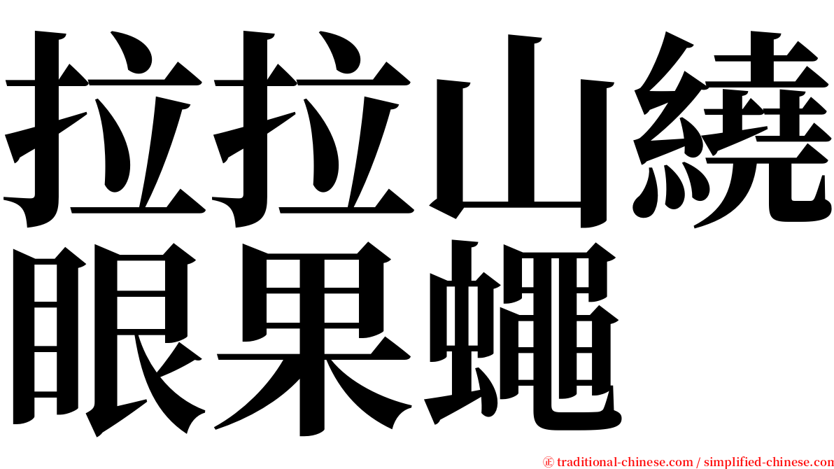拉拉山繞眼果蠅 serif font