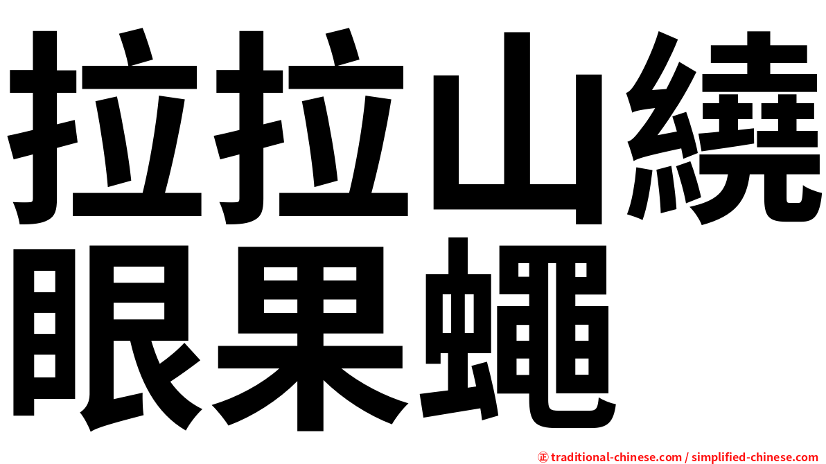 拉拉山繞眼果蠅