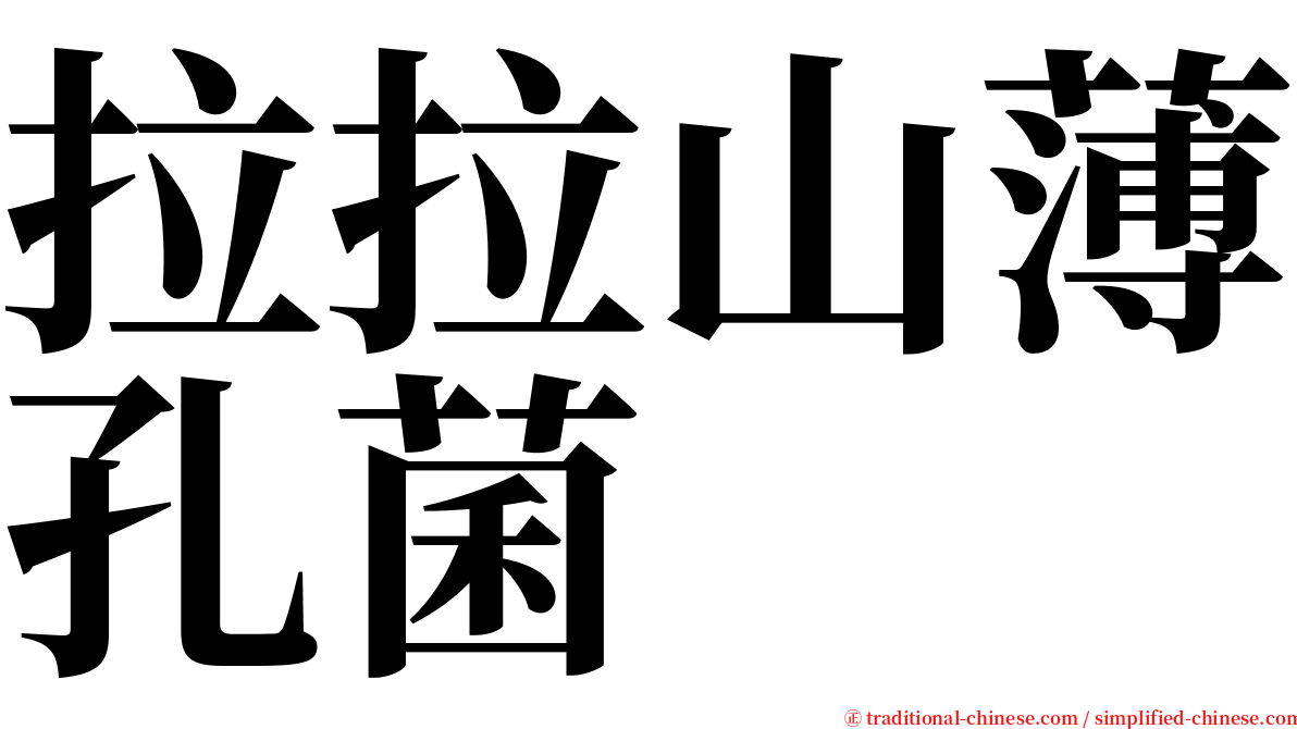 拉拉山薄孔菌 serif font