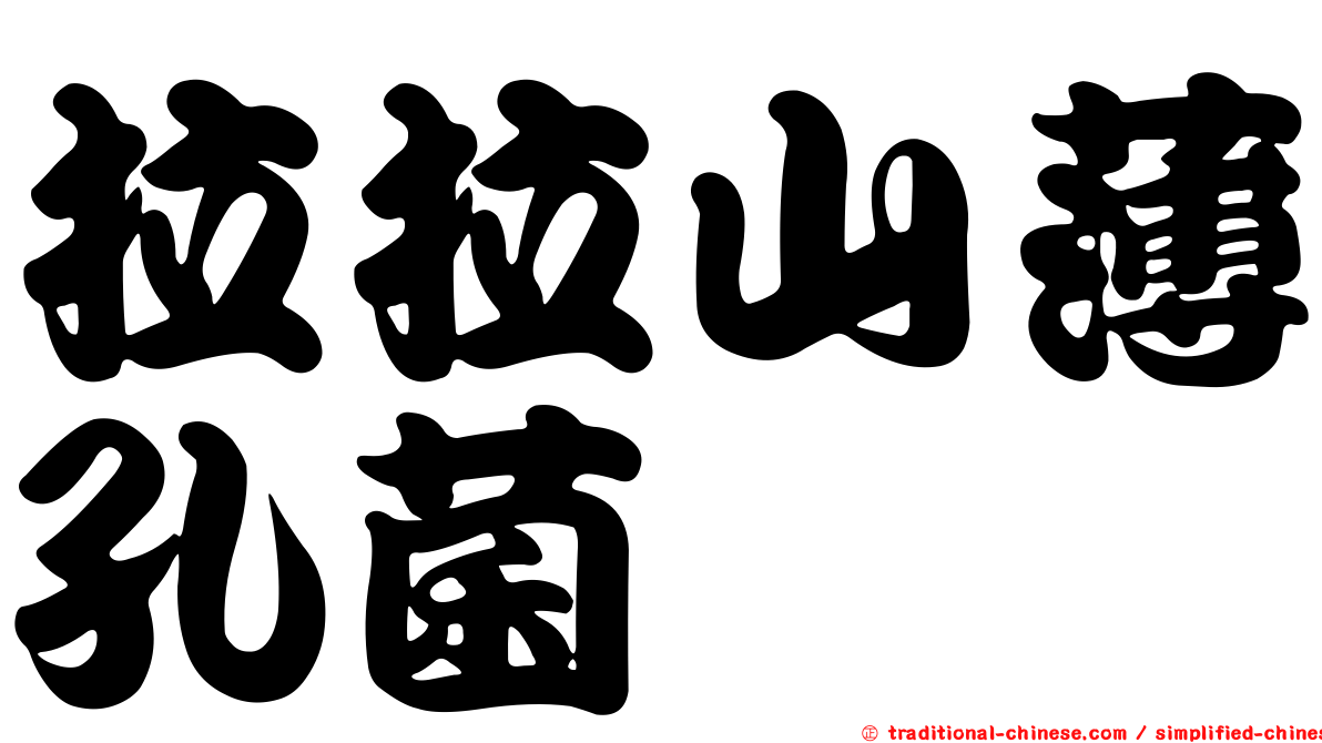 拉拉山薄孔菌