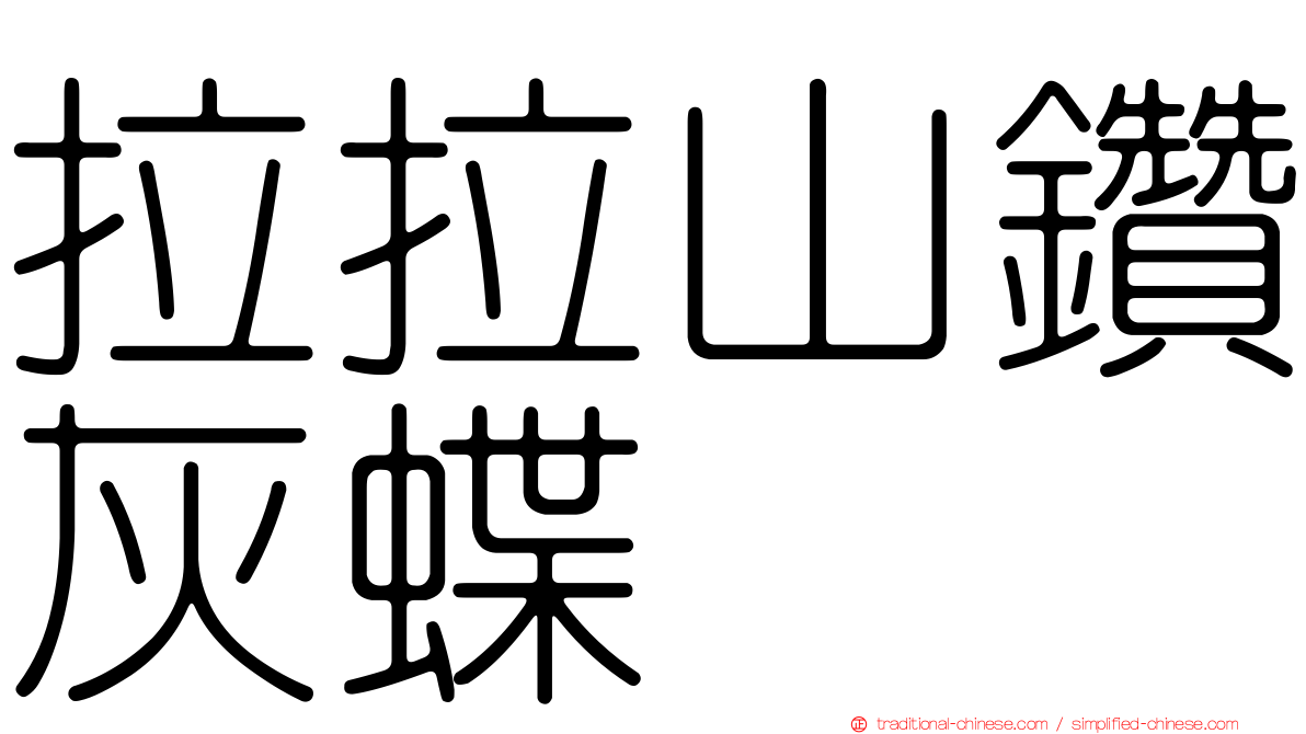 拉拉山鑽灰蝶