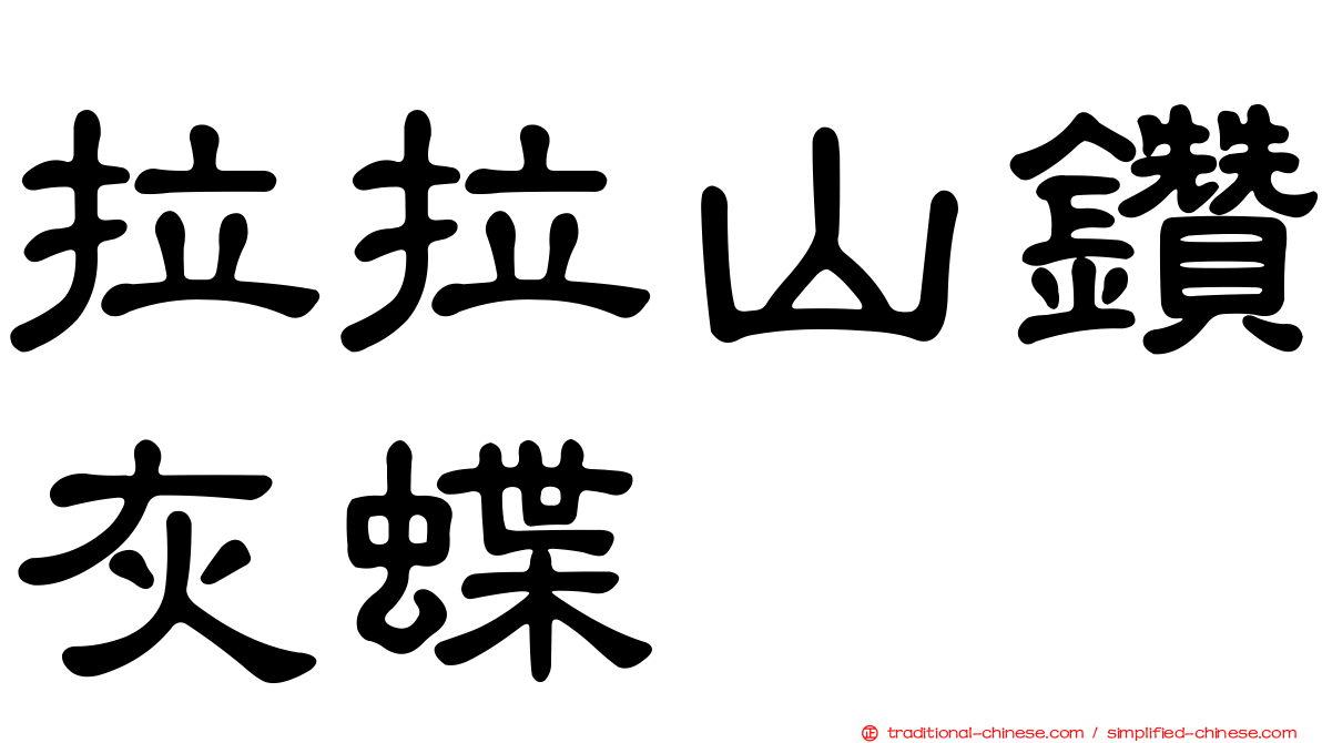 拉拉山鑽灰蝶