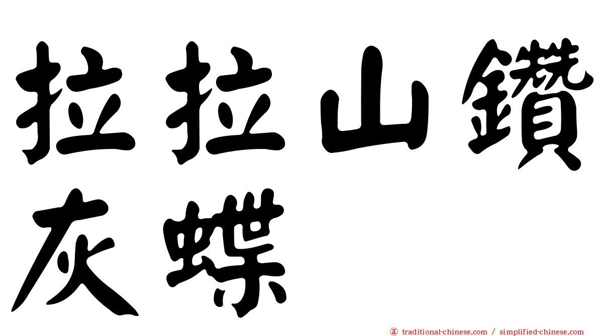 拉拉山鑽灰蝶