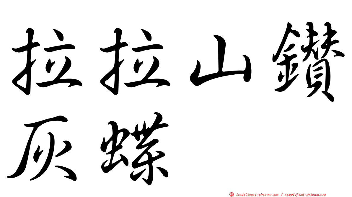 拉拉山鑽灰蝶