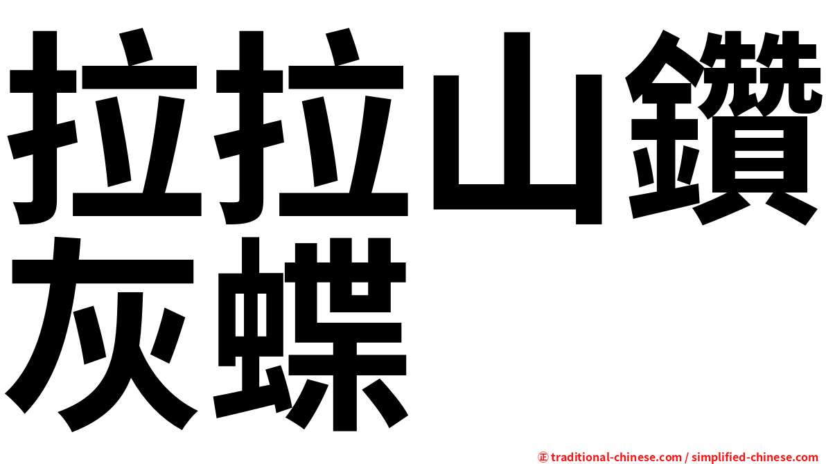 拉拉山鑽灰蝶