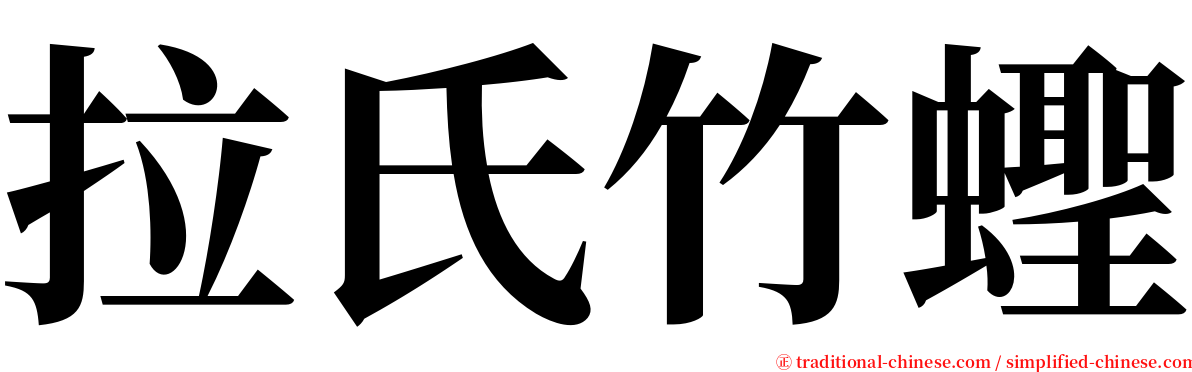 拉氏竹蟶 serif font