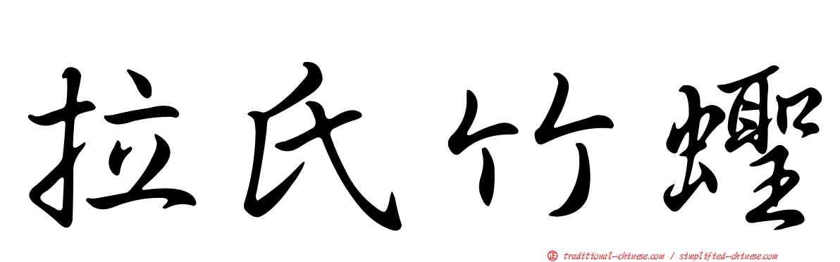 拉氏竹蟶