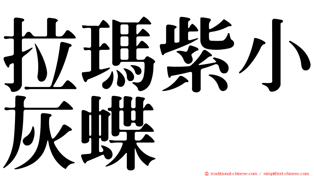 拉瑪紫小灰蝶