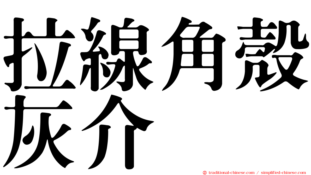 拉線角殼灰介
