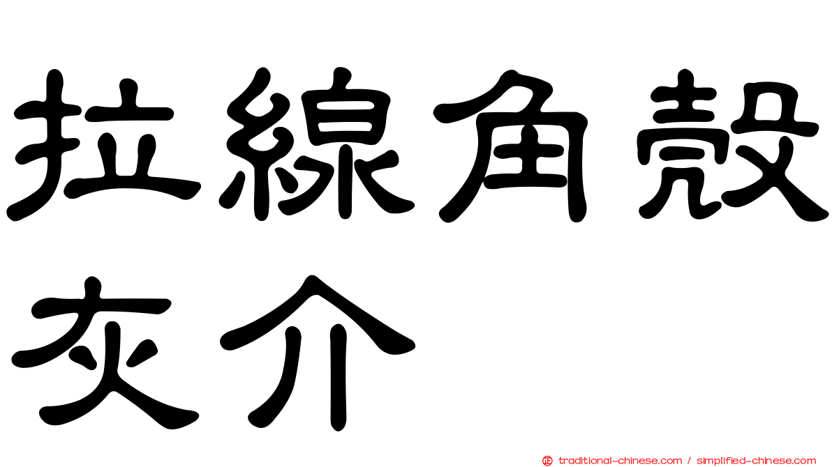 拉線角殼灰介
