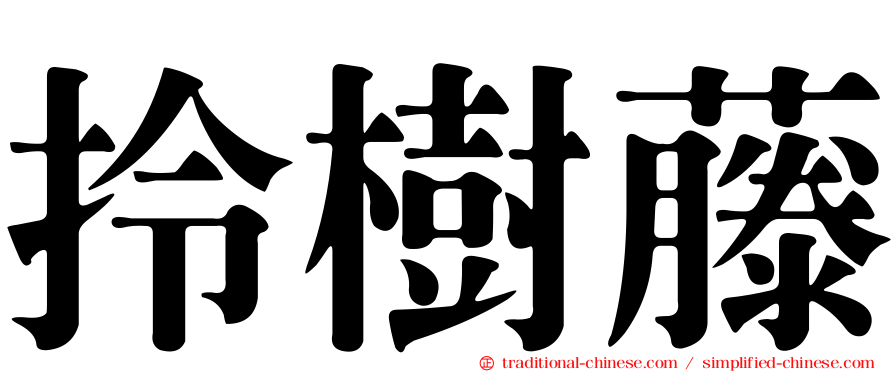 拎樹藤
