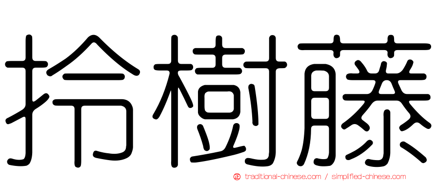 拎樹藤