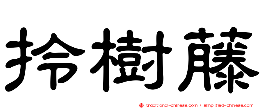 拎樹藤