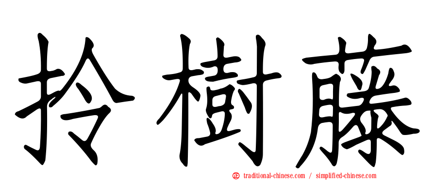拎樹藤