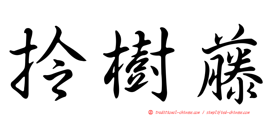 拎樹藤