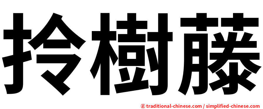 拎樹藤