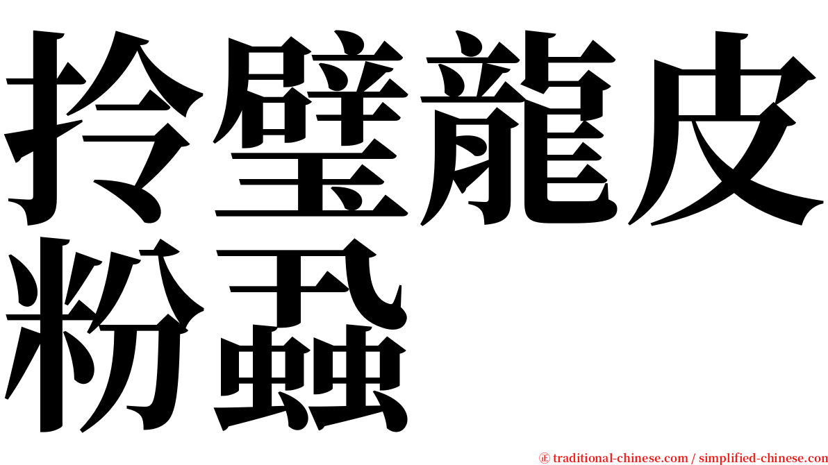 拎璧龍皮粉蝨 serif font