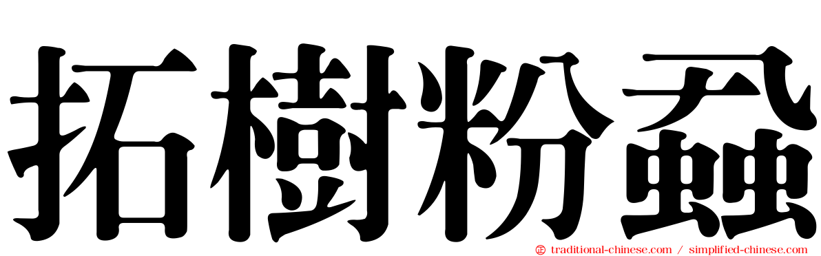 拓樹粉蝨