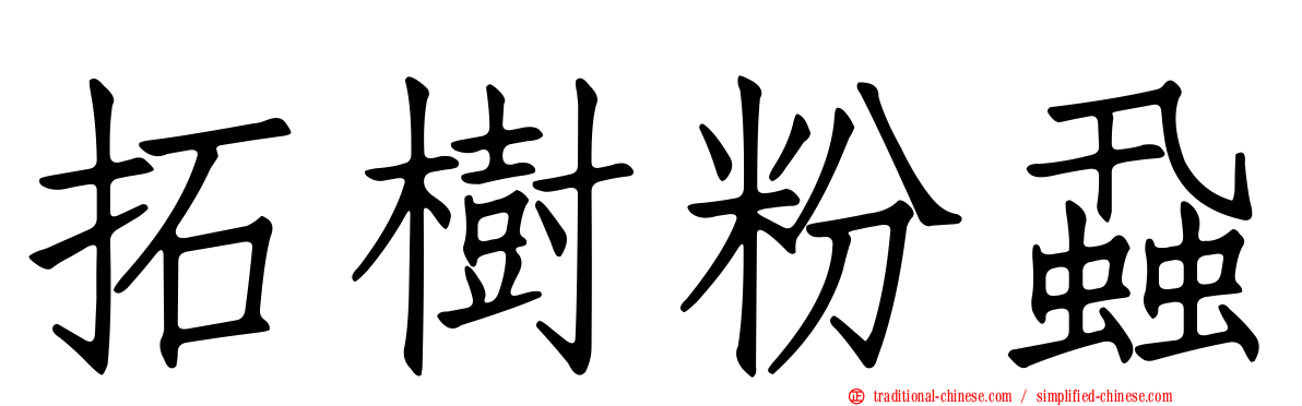 拓樹粉蝨