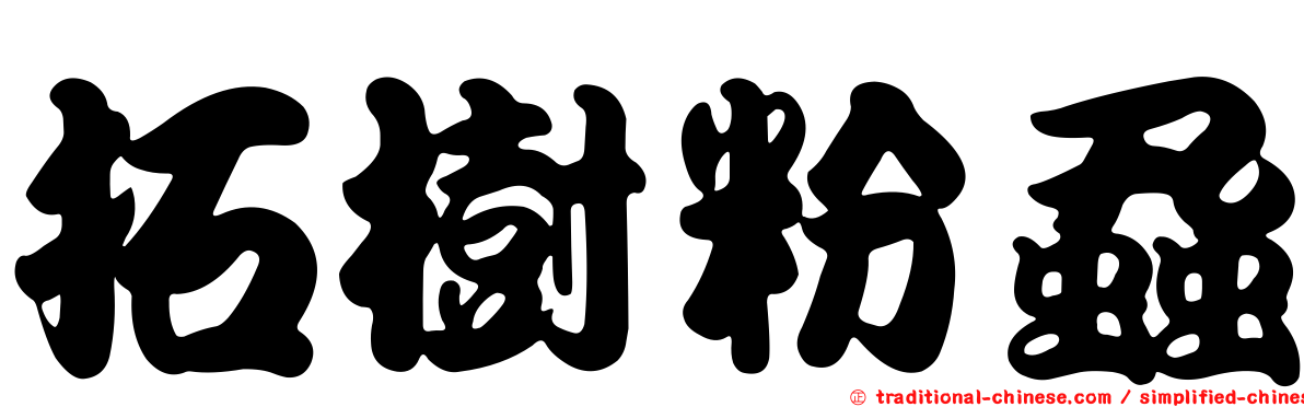 拓樹粉蝨