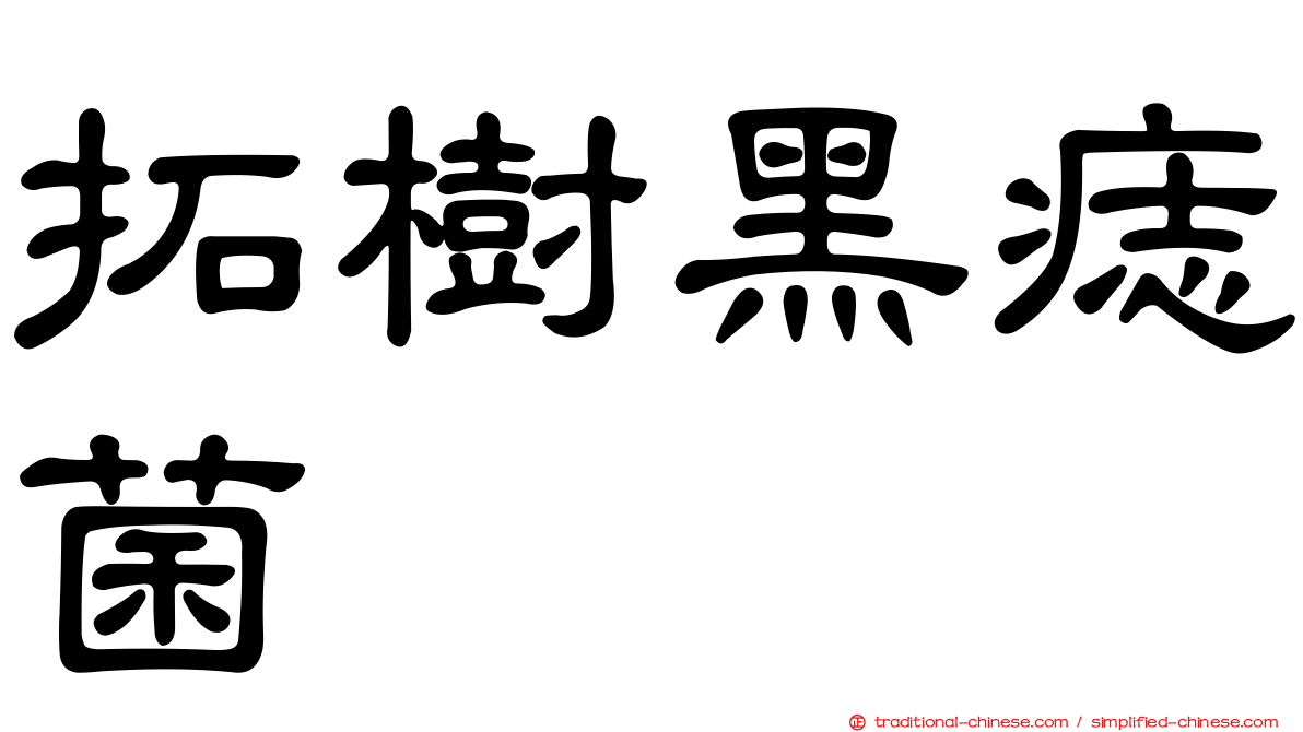 拓樹黑痣菌