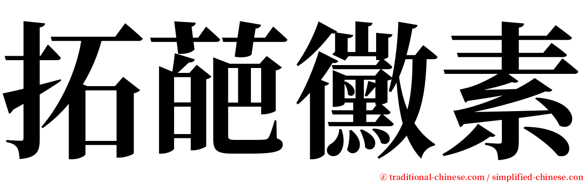 拓葩黴素 serif font