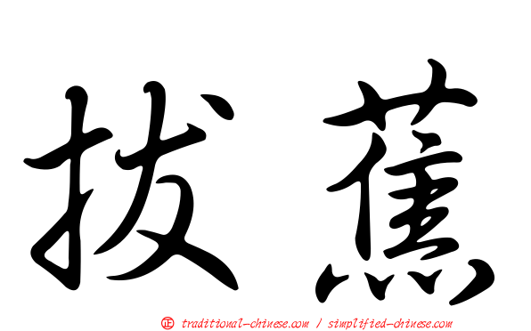 拔蕉