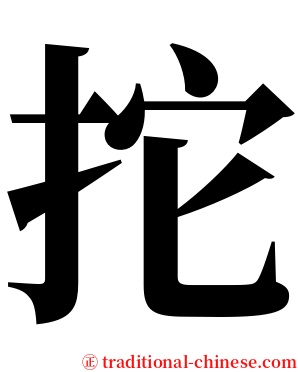 拕 serif font
