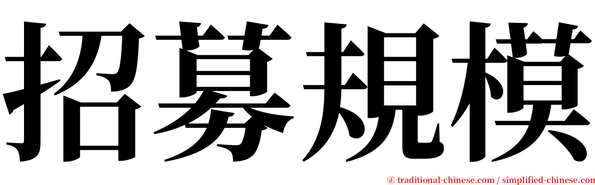 招募規模 serif font