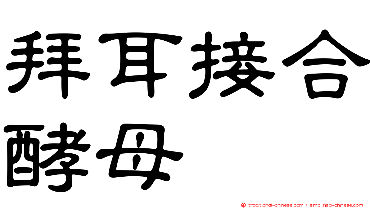 拜耳接合酵母