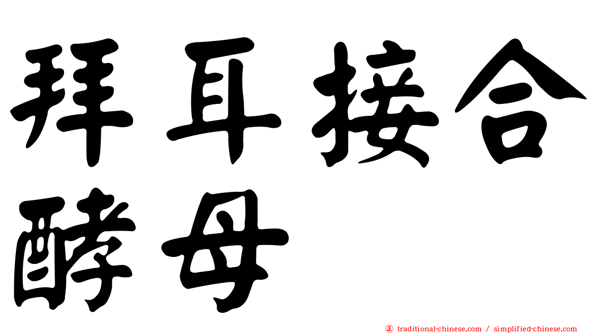 拜耳接合酵母