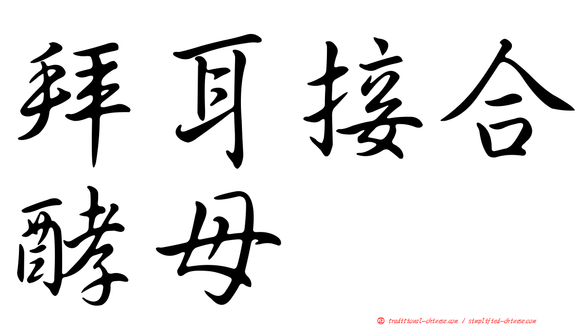 拜耳接合酵母