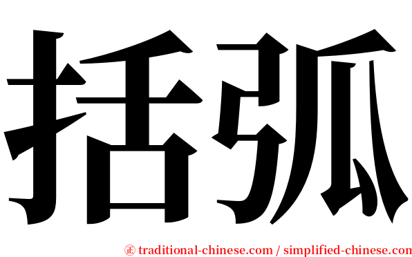 括弧 serif font