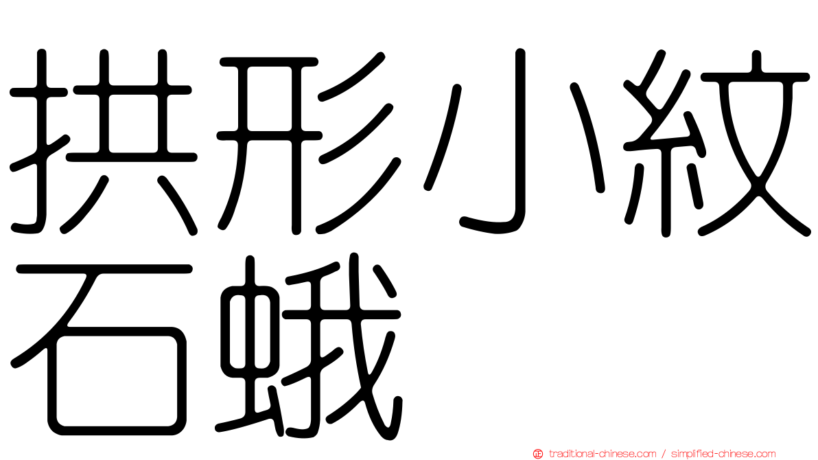 拱形小紋石蛾