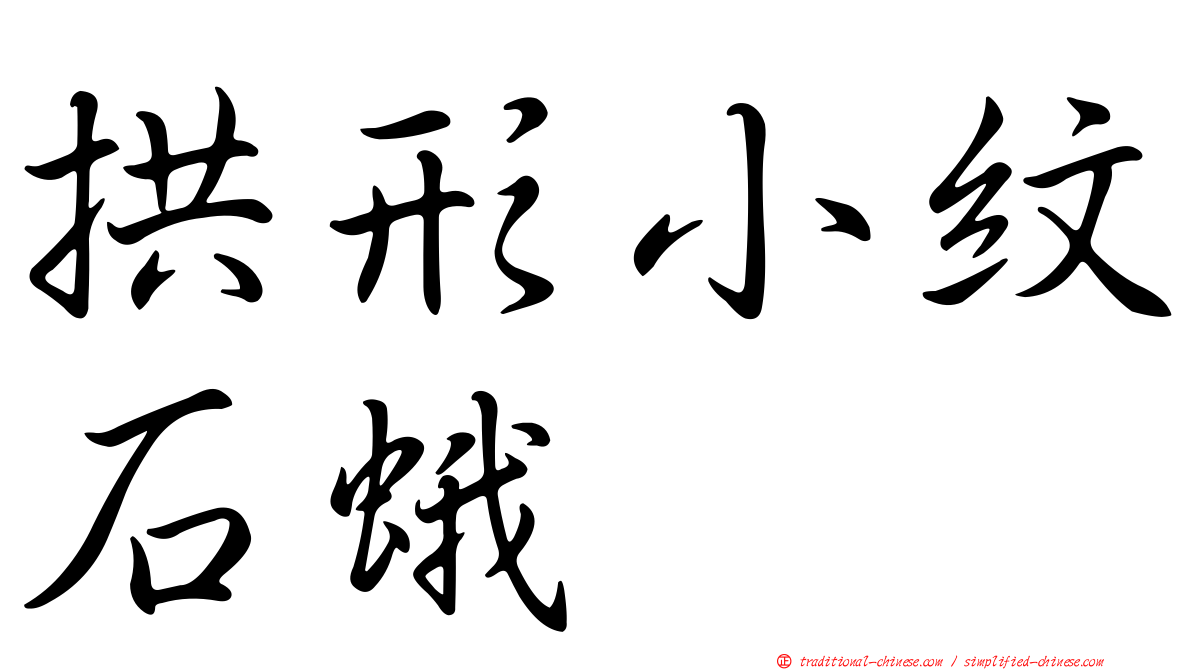 拱形小紋石蛾