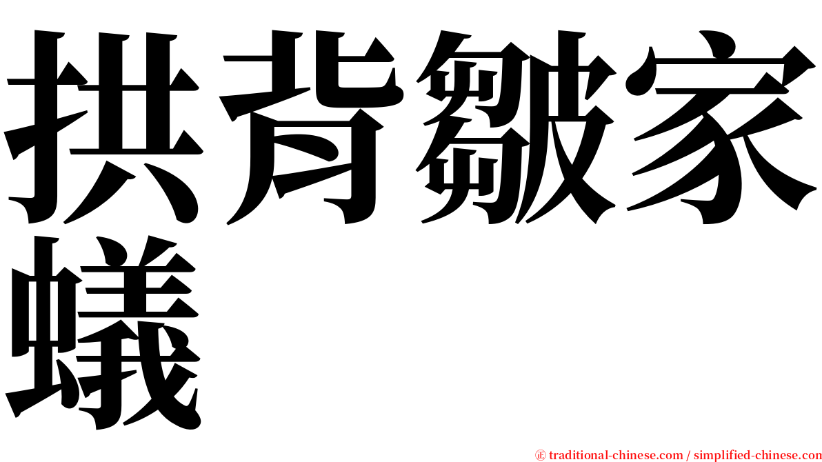 拱背皺家蟻 serif font
