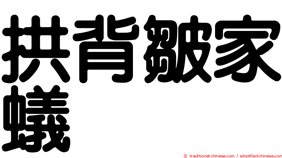 拱背皺家蟻