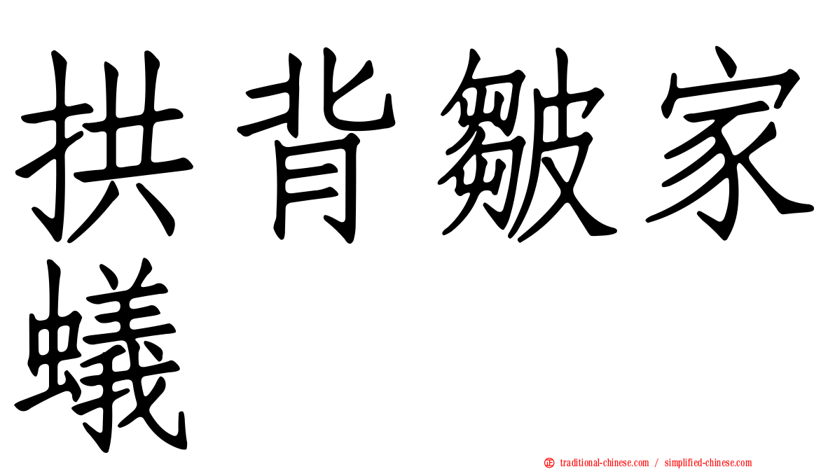 拱背皺家蟻