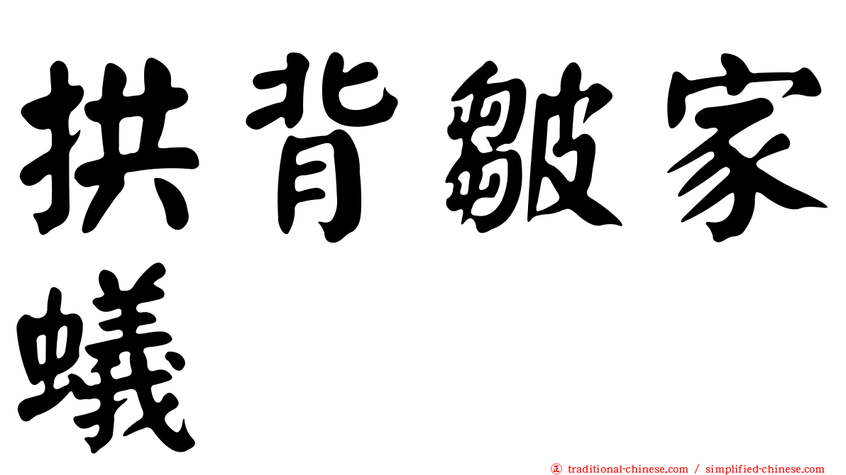 拱背皺家蟻