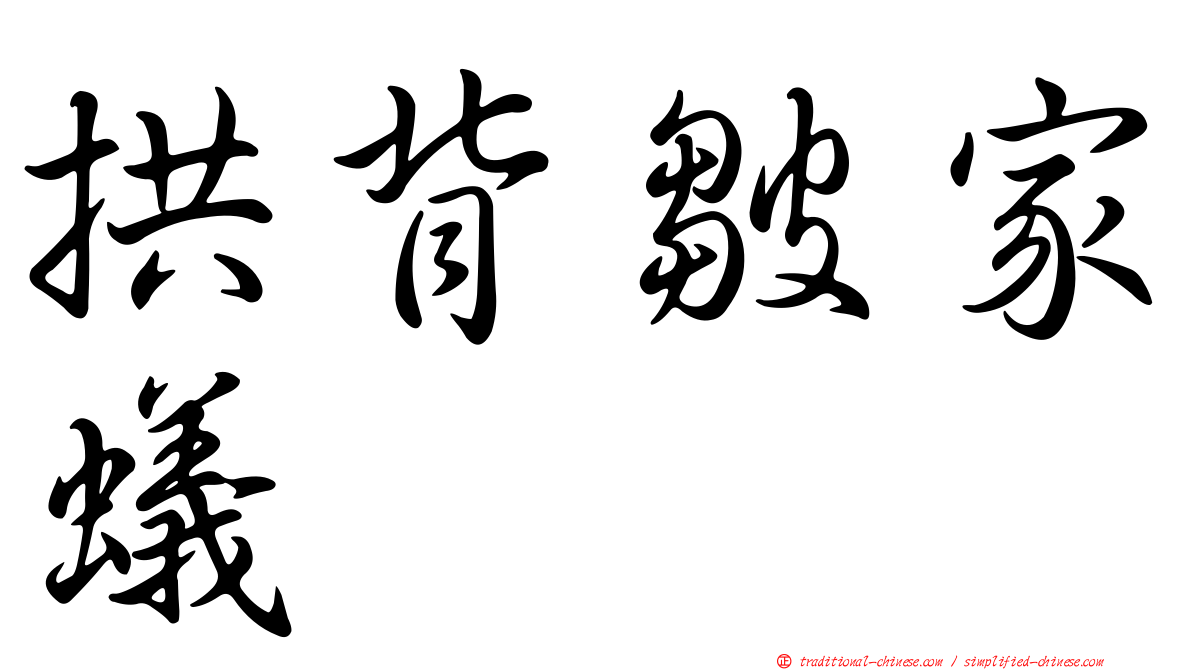 拱背皺家蟻
