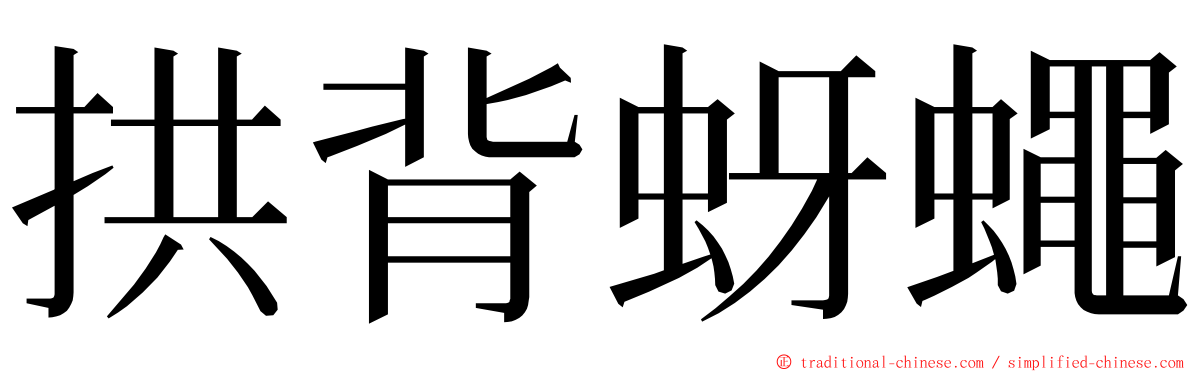 拱背蚜蠅 ming font